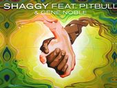 Shaggy Only Love ft Pitbull e Gene Noble