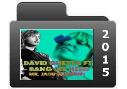 DJ David Guetta 2015