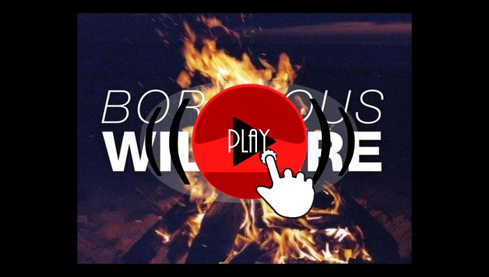 Borgeous Wildfire 