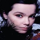 Cantora Björk