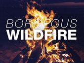 Borgeous Wildfire 