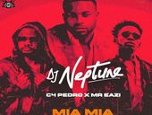 C4 Pedro Mia Mia DJ Neptune & Mr Eazi